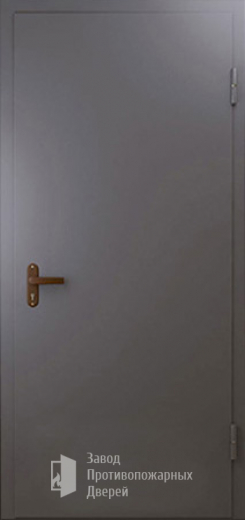 Фото двери «Техническая дверь №1 однопольная» в Протвино