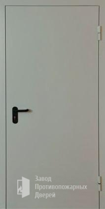 Фото двери «Однопольная глухая EI-30» в Протвино