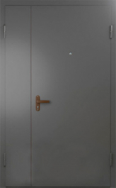 Фото двери «Техническая дверь №6 полуторная» в Протвино